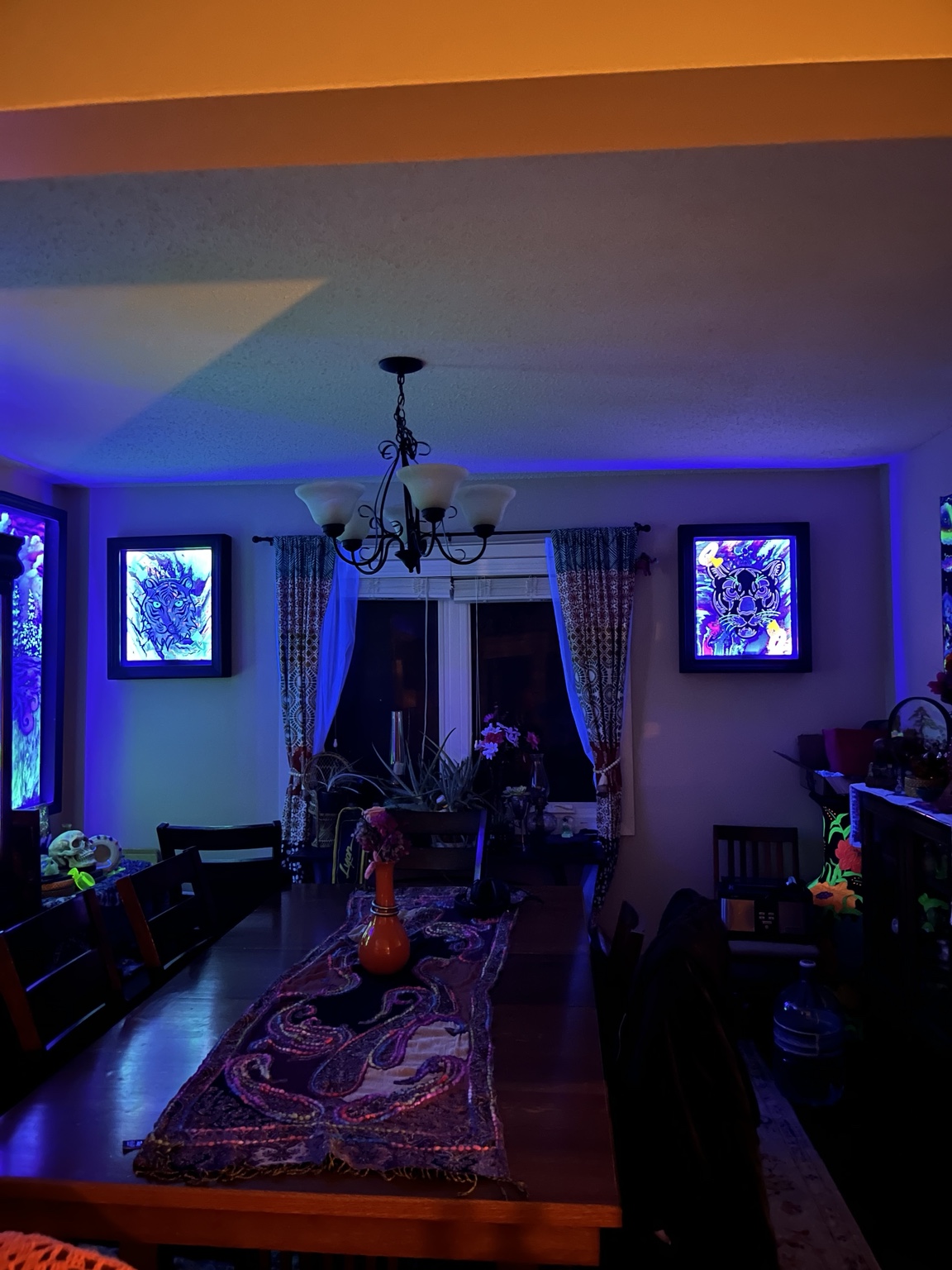 Multiple Electric Grain style UV frames displayed in a room